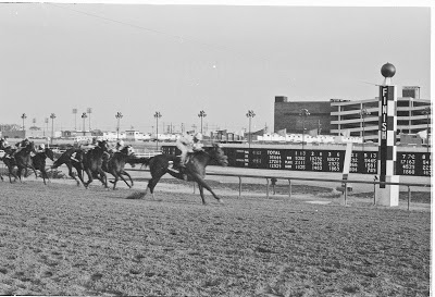 photo horse race