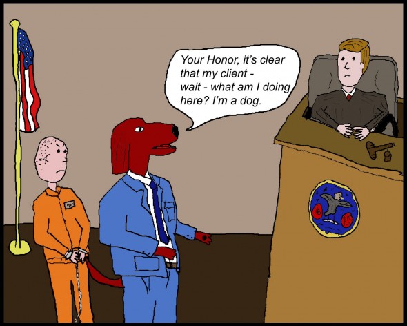 dog lawyer