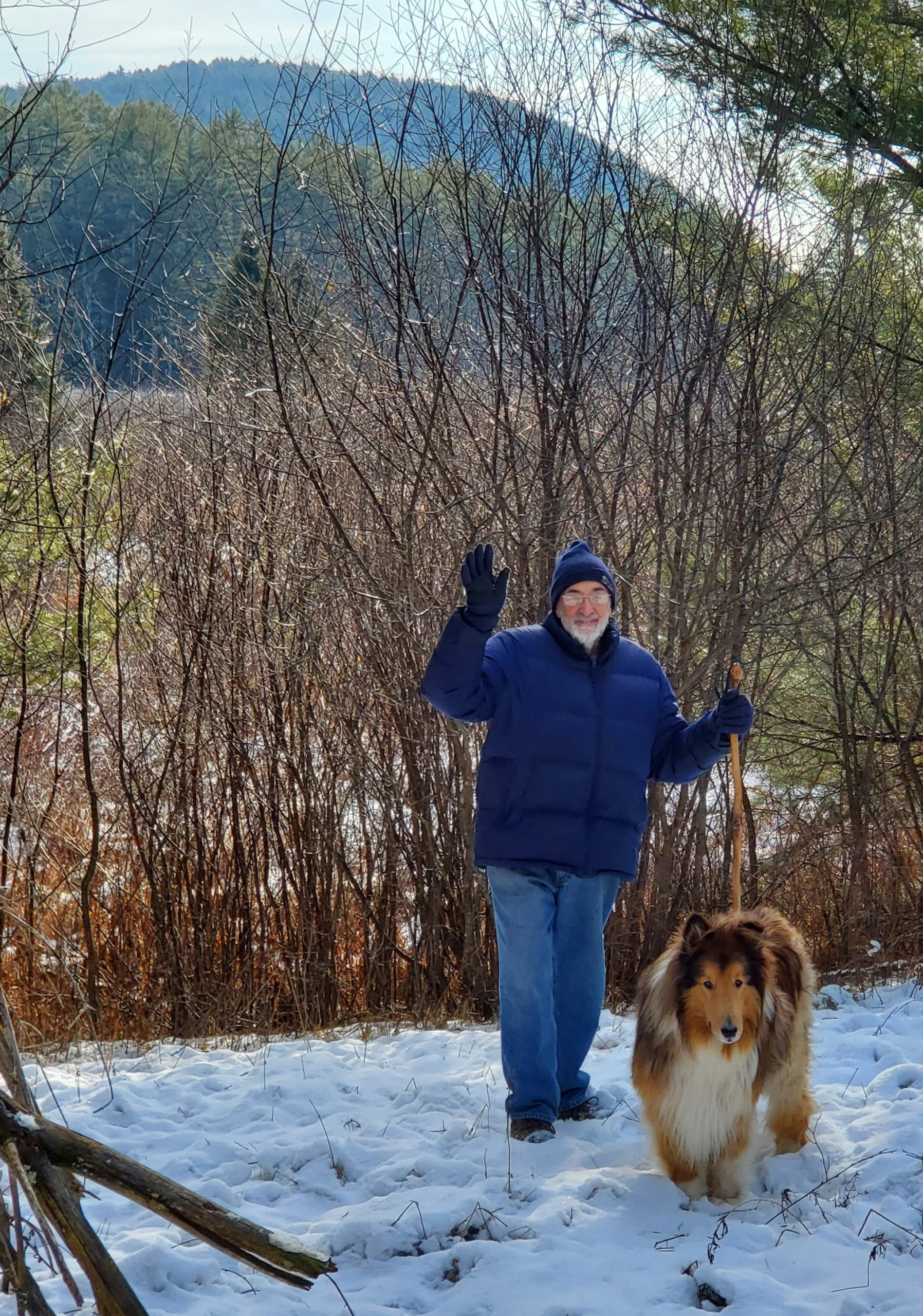 Allen Young : ENVIRONMENT | Appreciating nature as a political act - Vimarsana News